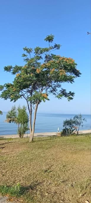 Pomegranate Seaside Corner Villa Fanarion Exterior photo
