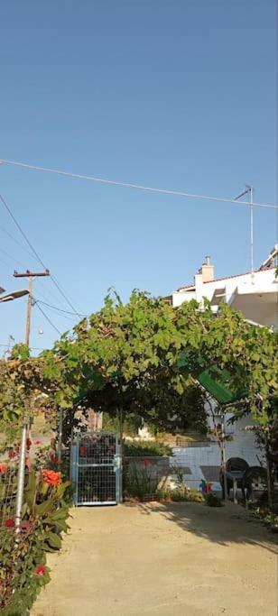 Pomegranate Seaside Corner Villa Fanarion Exterior photo